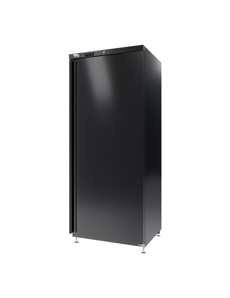 Armoire positive noire 1 porte pleine 600 litres