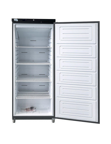 Armoire positive noire 1 porte pleine 600 litres