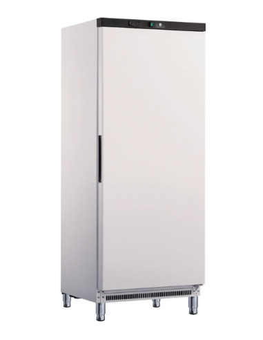 Armoire négative 1 porte pleine 555 litres