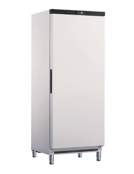 Armoire négative 1 porte pleine 555 litres