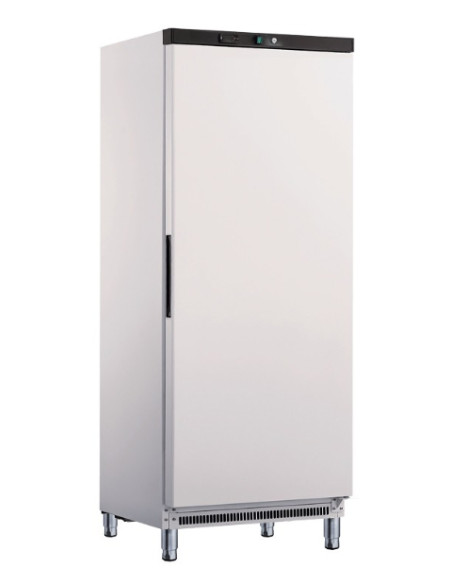 Armoire réfrigérée 1 porte pleine 570 litres