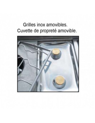 Brûleur gaz capic