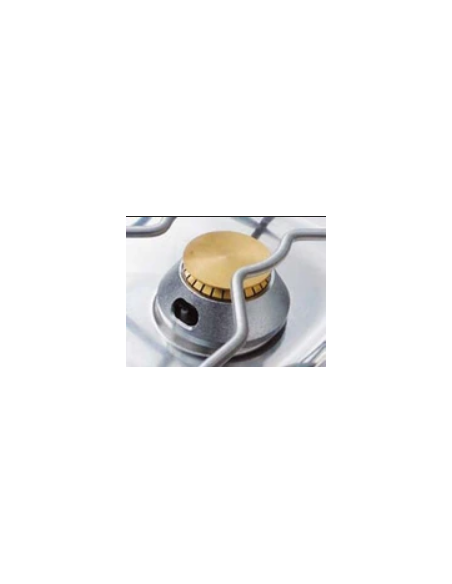 Brûleur Capic gaz