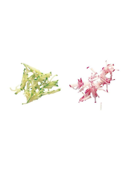 Disque bâtonnets 28051W pour coupe légumes ROBOT COUPE