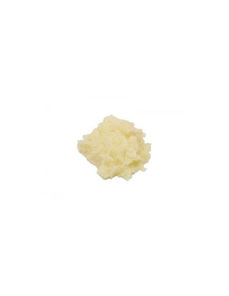 Disque râpeur 27219W pour coupe légumes ROBOT COUPE