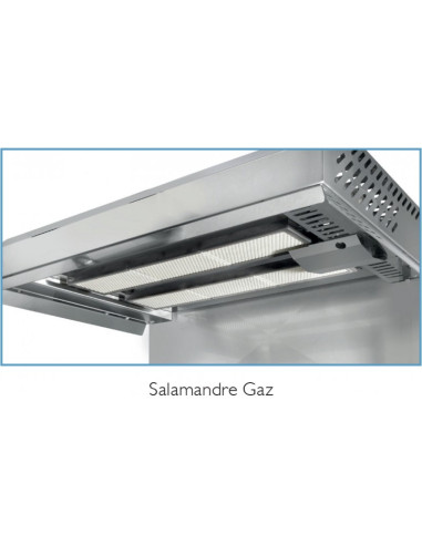 Salamandre SOFRACA gaz à plafond fixe