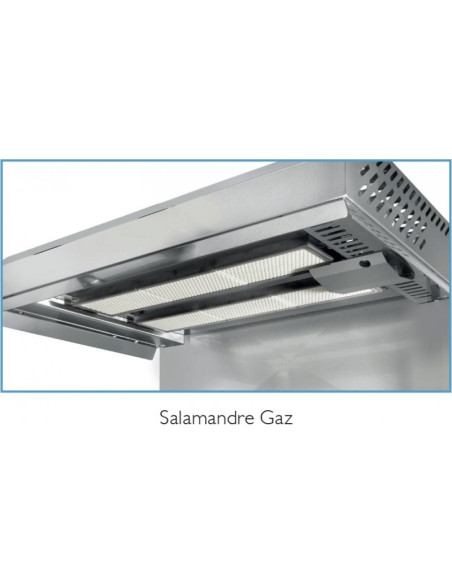 Salamandre SOFRACA gaz à plafond fixe