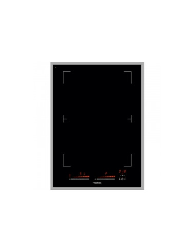 plaque à induction 2 foyers