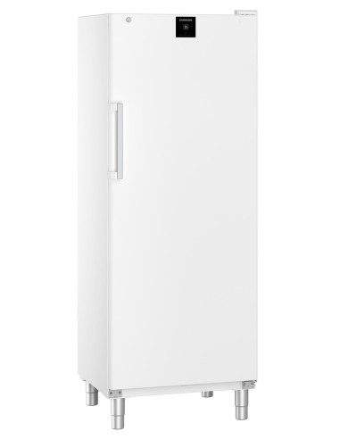 Armoire réfrigérée liebherr porte pleine blanche
