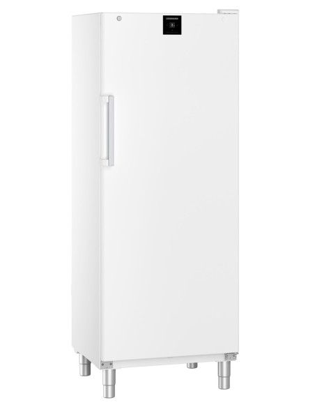 Armoire réfrigérée liebherr porte pleine blanche