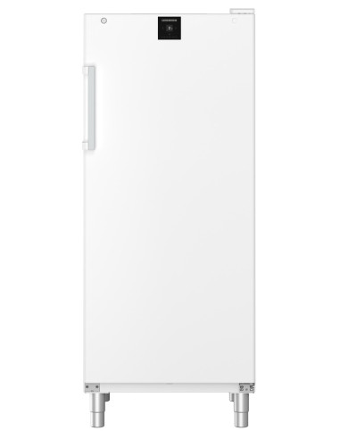 Armoire réfrigérée liebherr porte pleine blanche