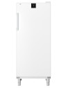 Armoire réfrigérée liebherr porte pleine blanche
