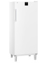 Armoire réfrigérée liebherr porte pleine blanche