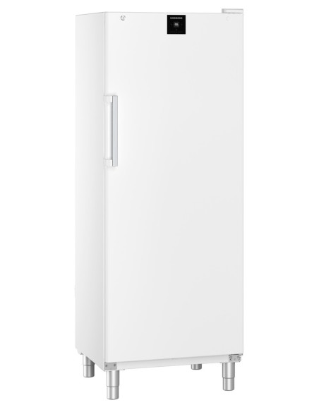 Armoire réfrigérée liebherr porte pleine 600x400 blanche