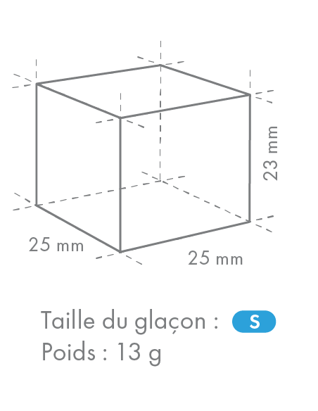 Modèle de glaçons taille S