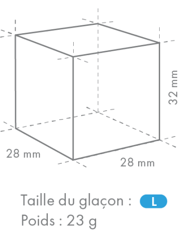 Modèle de glaçons taille L