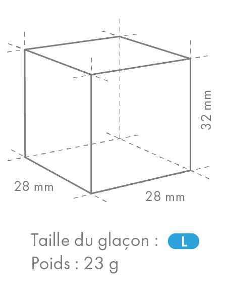 Modèle de glaçons taille L