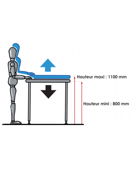 Hauteur table inox Ergonomique