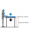 Hauteur table Ergonomix