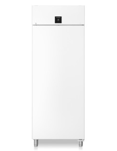 Armoire positive 1 porte 800x600 LIEBHERR