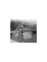 Lave-vaisselle ADLER panier 50x50 cm EVO50AD